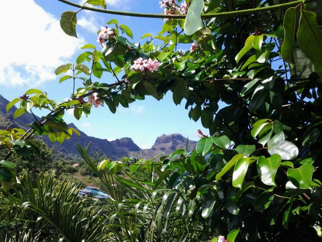 Fare Manutea Hotel Nuku Hiva Exterior photo
